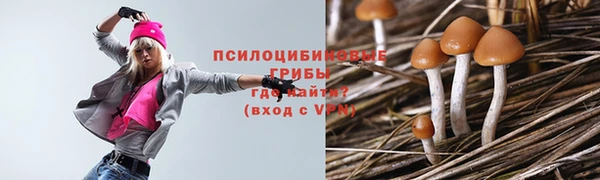 не бодяженный Абаза