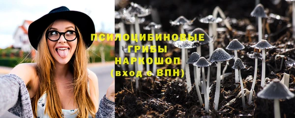 не бодяженный Абаза