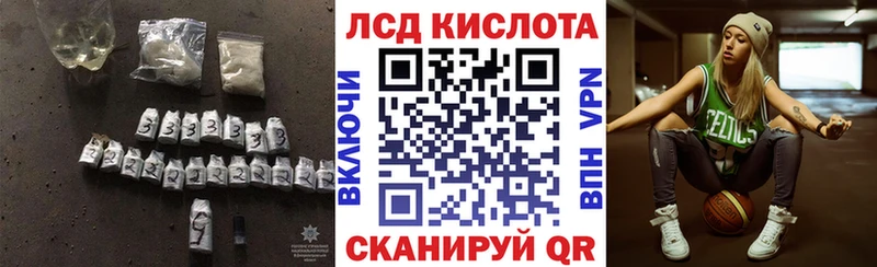 купить наркоту  Каргополь  МЕГА онион  ЛСД экстази кислота 