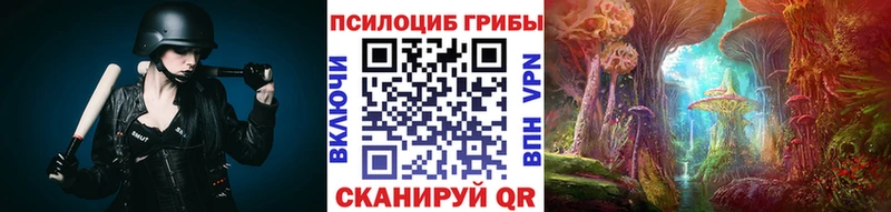 Галлюциногенные грибы Psilocybe  Каргополь 