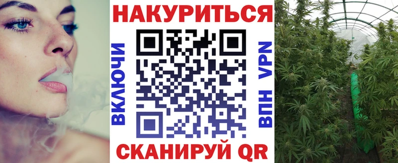 Каннабис планчик  Каргополь 